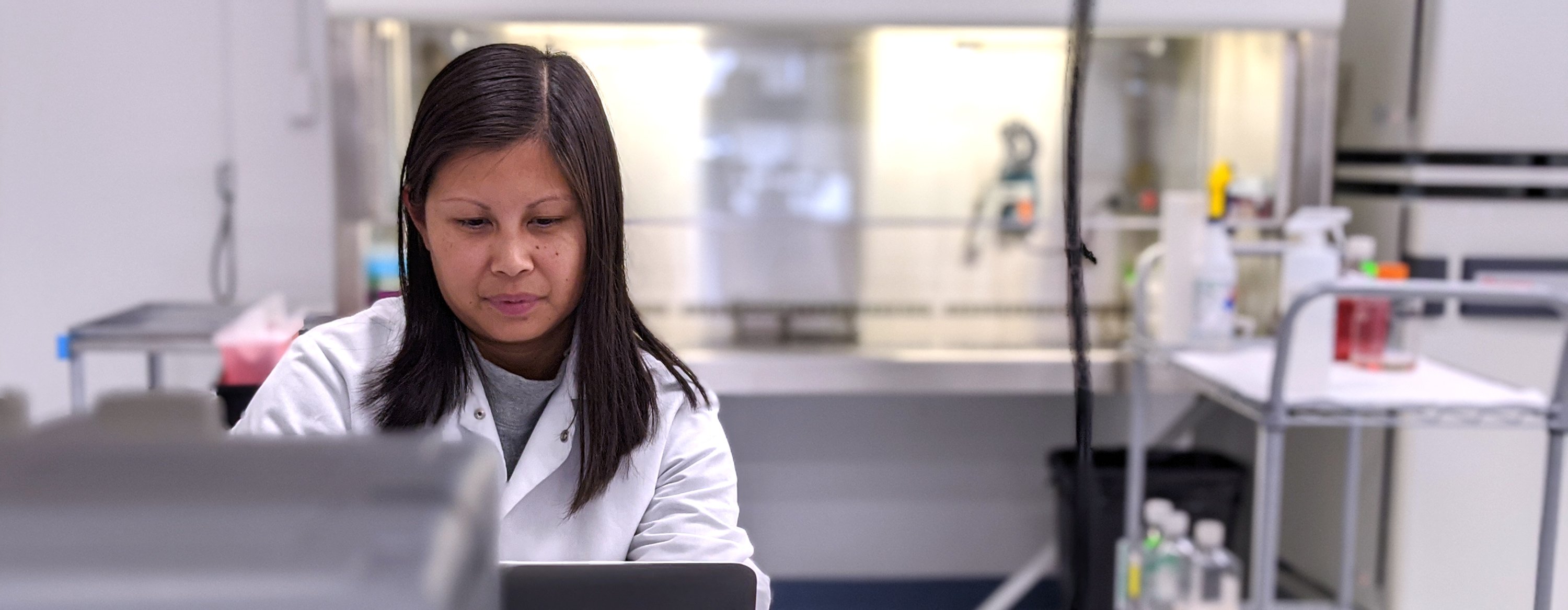 Antibody Solutions - In The Lab