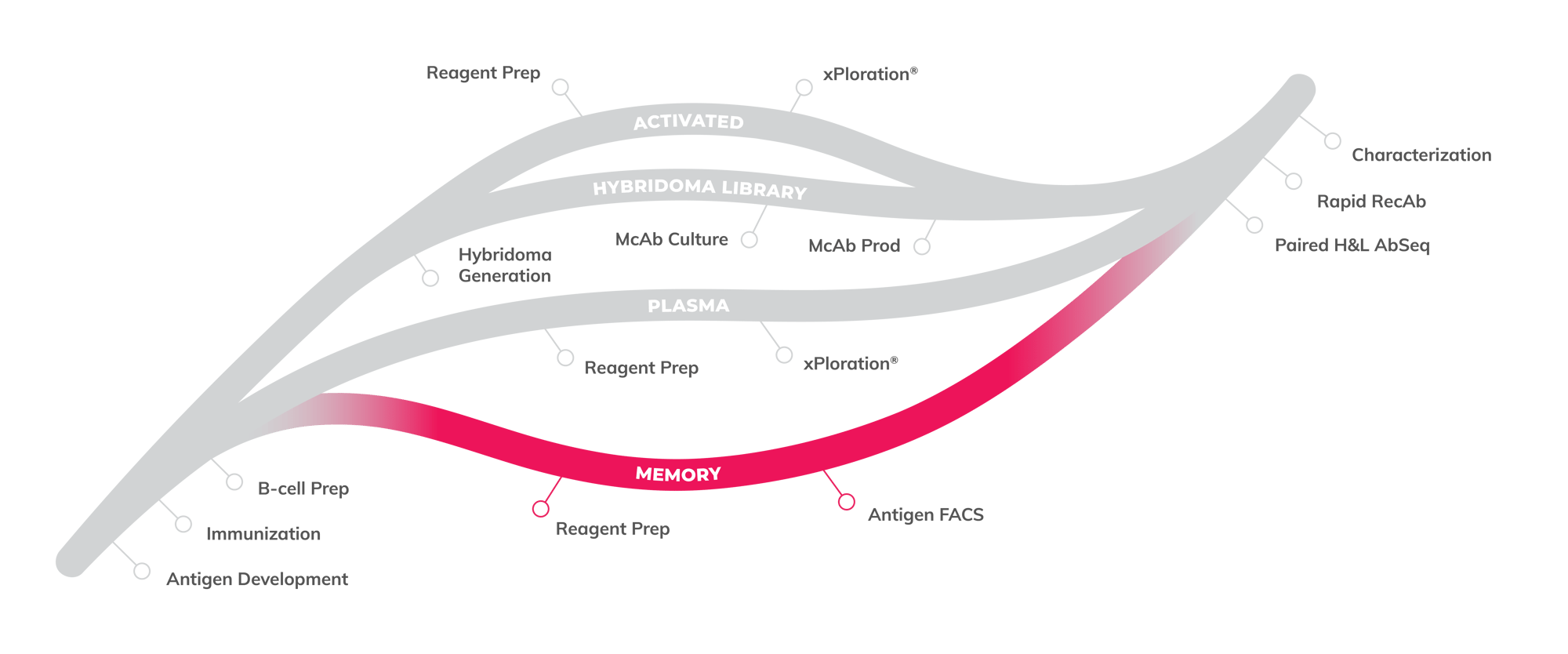 ANTI - Cellestive Leaf Variations_Memory ANTI - Cellestive Leaf Variations_Memory
