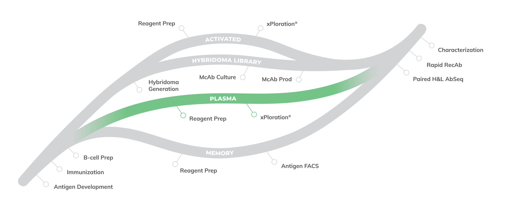 ANTI - Cellestive Leaf Variations_Plasma ANTI - Cellestive Leaf Variations_Plasma