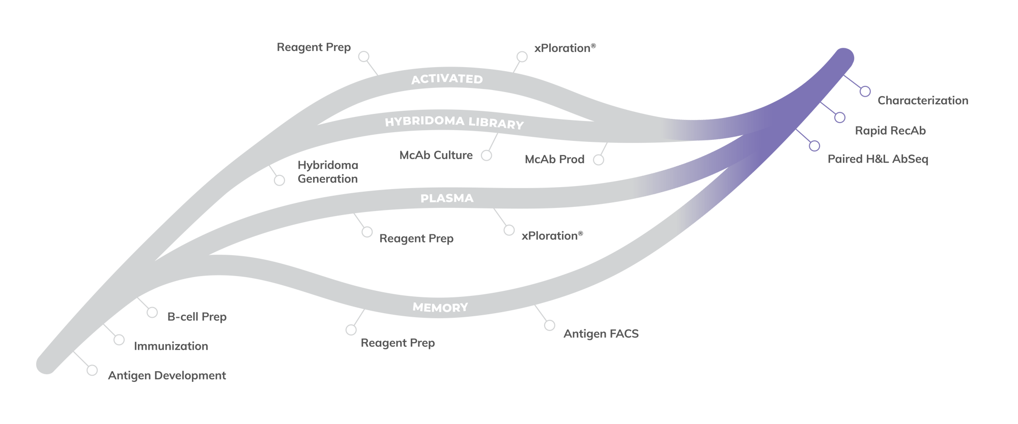 Antibody Solutions Single Cell RNA Sequencing Antibody Solutions Single Cell RNA Sequencing