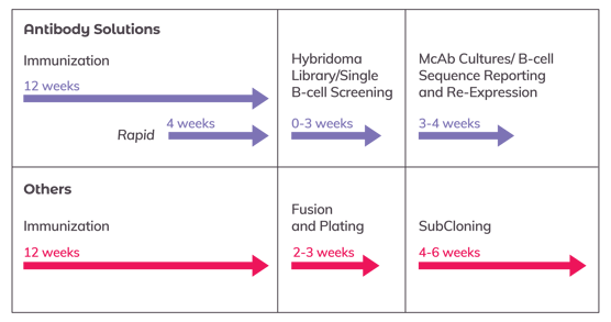 ANTI-Monoclonal Antibodies Webpage Graphic ANTI-Monoclonal Antibodies Webpage Graphic