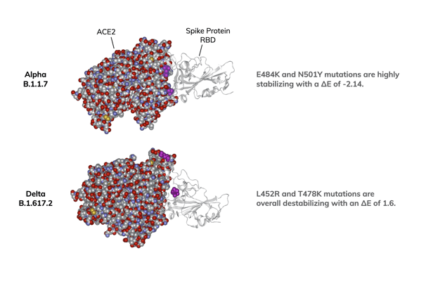 ANTI_Delta_Variant_Fig2-1