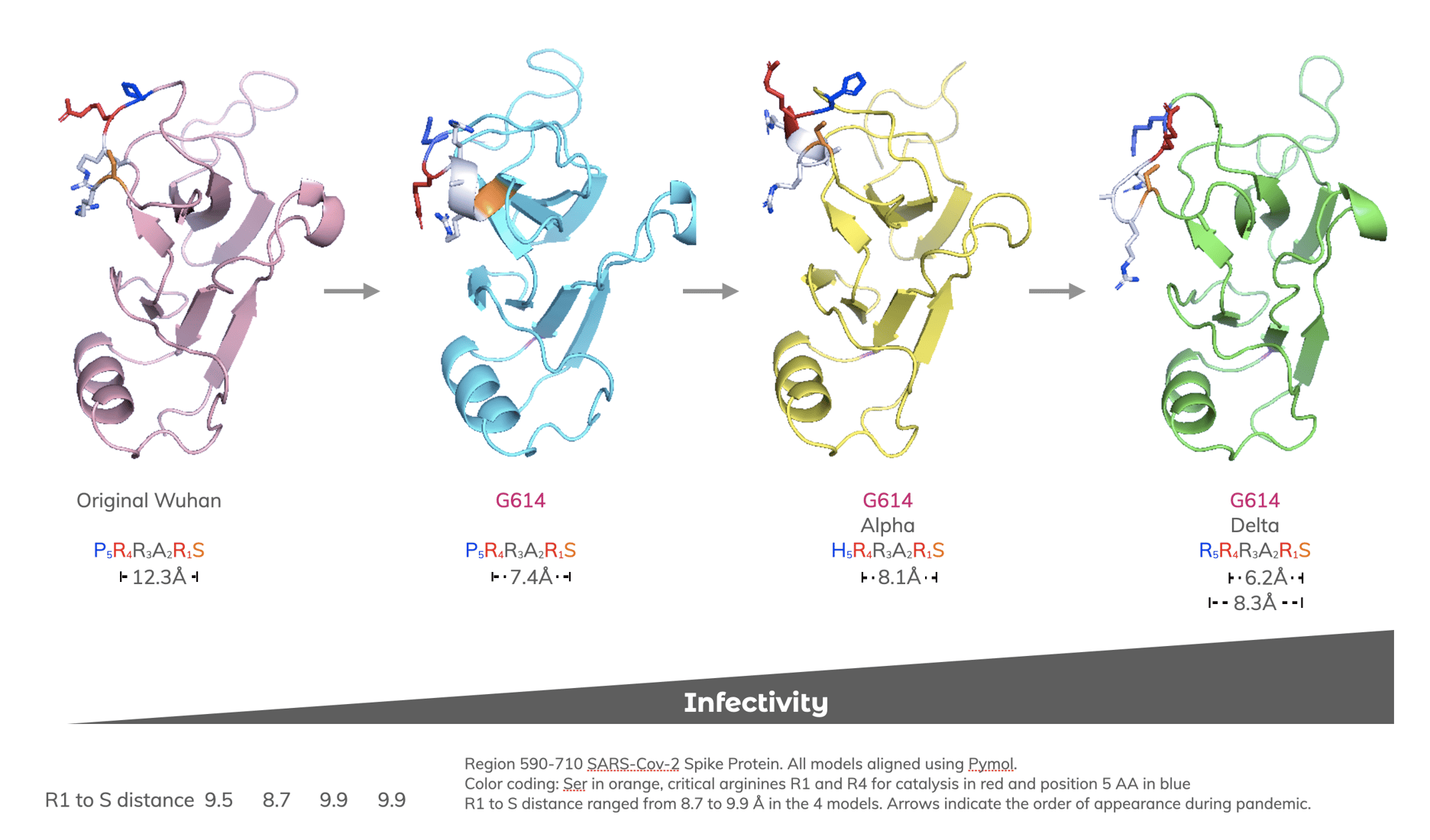 The Delta Variant Furin Domain Mutation Favors Greater Infectivity