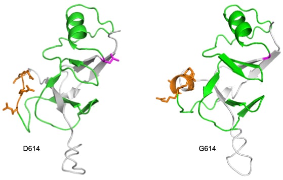 Antigen Modeling Figure copy.001-2