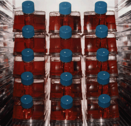 Bioreactor Production