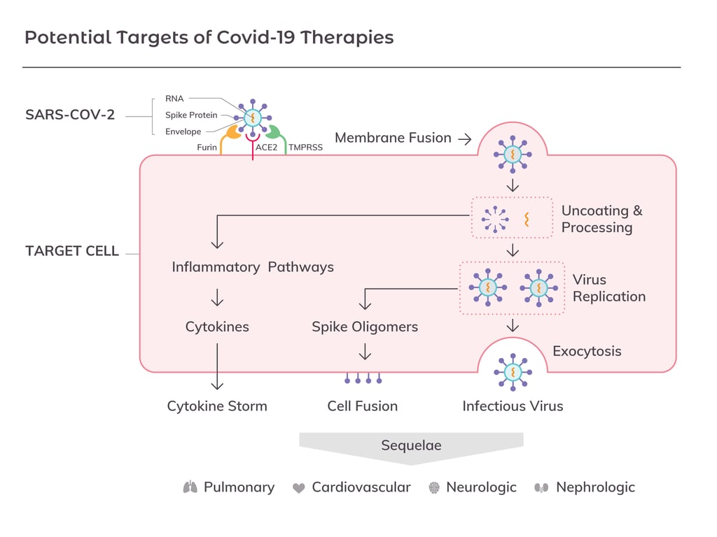 COVID19 Targets, Tools and Therapeutics (Part 1)