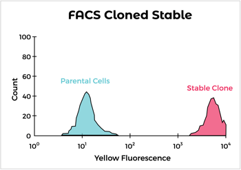 FACS Cloned Stable