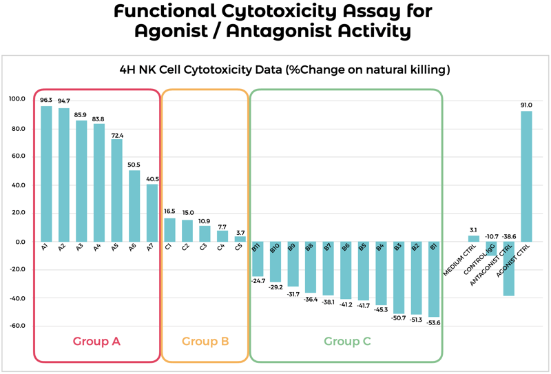 Functional-Assa-Blog-Post-IMG1