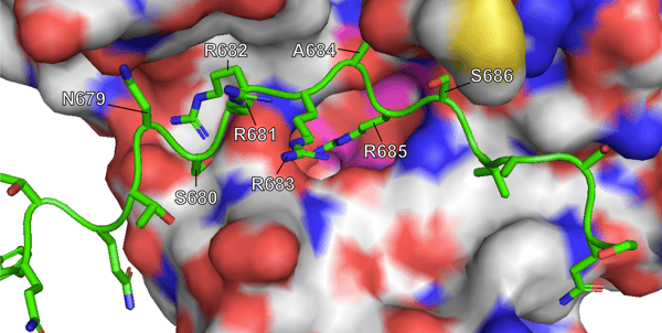 Figure 3A Delta