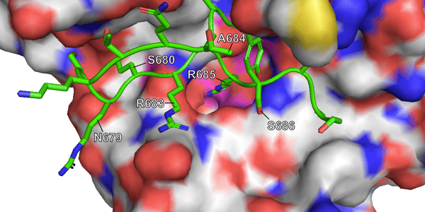 Figure 3B (JN.1)