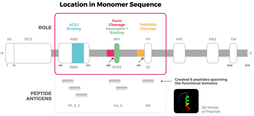 Location-In-Monomer-Sequence-Blog1