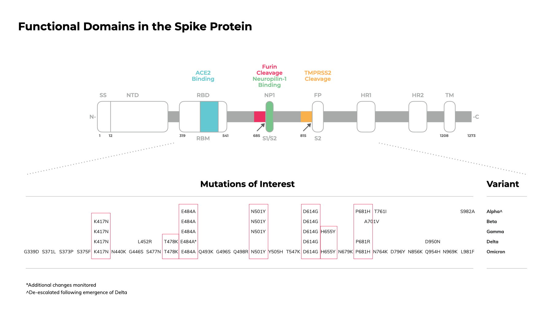 Modeling the Impact of SARS-CoV-2 Omicron Variant Mutations