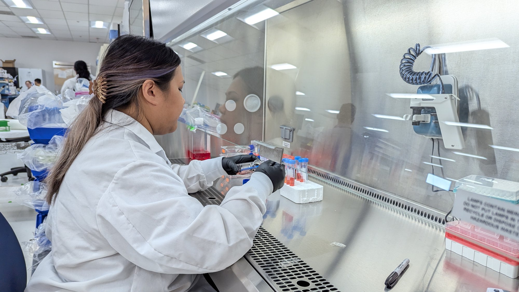 Stay On-Plan and On-Budget