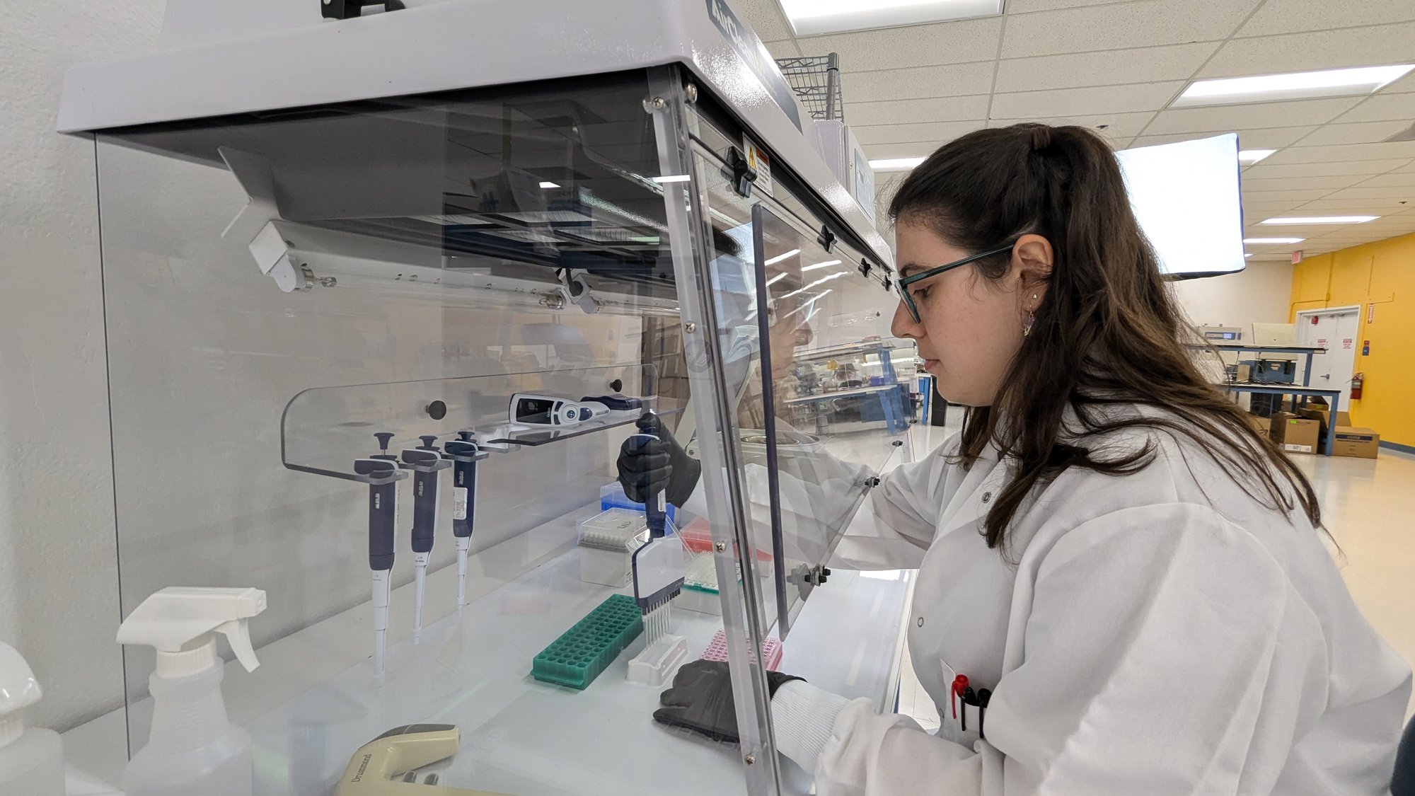 PXL_20240806_213036276_retouched PXL_20240806_213036276_retouched