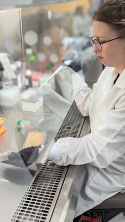 PXL_20240806_231100402.PORTRAIT PXL_20240806_231100402.PORTRAIT