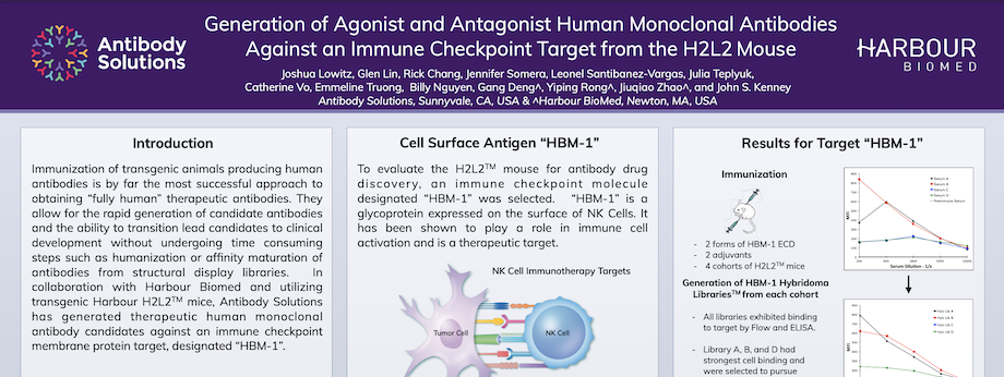 Generation and Selection of Human Monoclonal Antibodies from the OmniRat