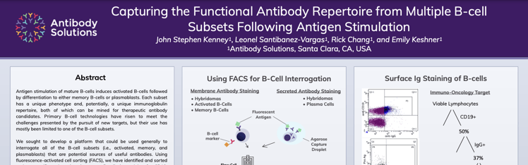 Capturing the Functional Antibody Repertoire from Multiple B-cell Subsets Following Antigen Stimulation