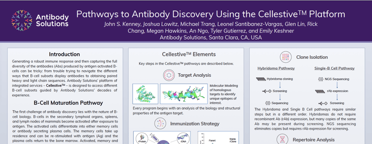 Pathways to Antibody Discovery Using the Cellestive™ Platform