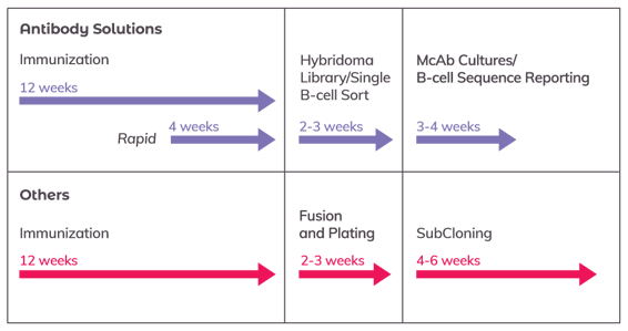 _AS_Icons-and-infographics_V7