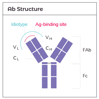 Solutions_By_Application_Critical_Reagent_Anti-Idiotype_Ab