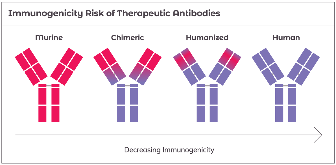 Solutions_By_Application_Critical_Reagent_Immunogenicity-1