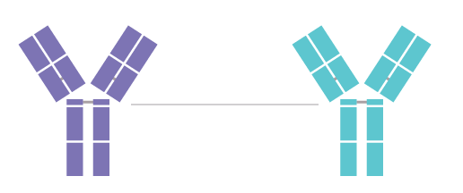 Surrogate Antibodies
