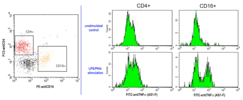 flow cytometry