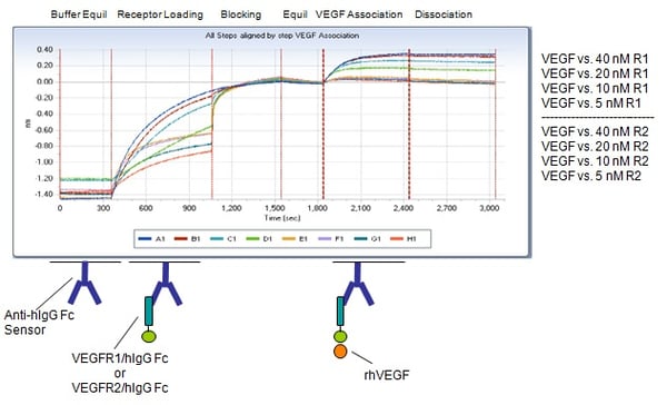 receptor-blocking