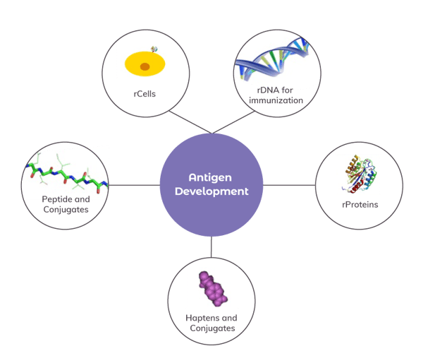 AS_Solutions_By_Service_Antigen_Dev_main