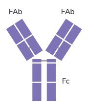 AS_Solutions_By_Service_Fabs_and_Fragments