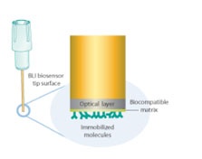 AS_Solutions_By_Service_Label-Free_Kinetics-Analysis