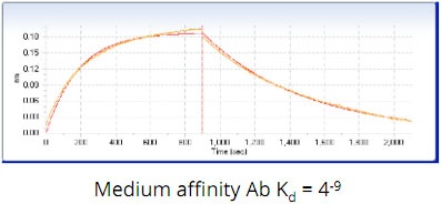 AS_Solutions_By_Service_Label-Free_Kinetics-Analysis_2