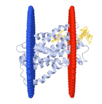 AS_Solutions_By_Target_Type_cell_Surface_Ag_4