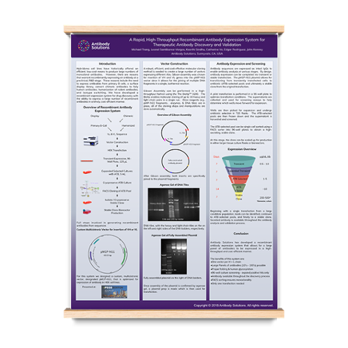 Rapid_High_Thruput_Poster-1