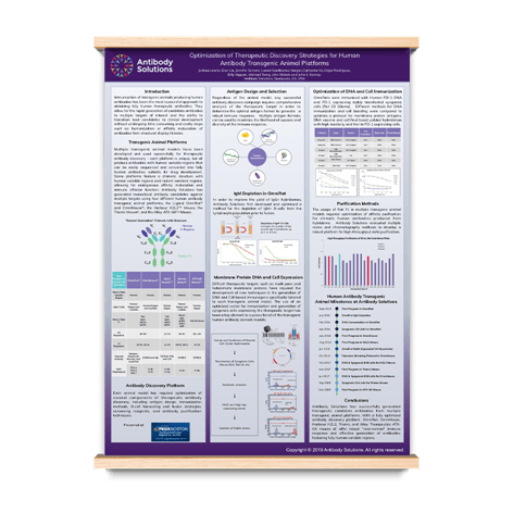 Optimization of Therapeutic Discovery Strategies for Human Antibody Transgenic Animal Platforms
