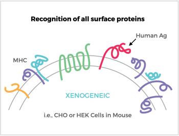 Recognition of all surface proteins