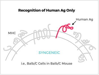 Recognition of Human Ag Only