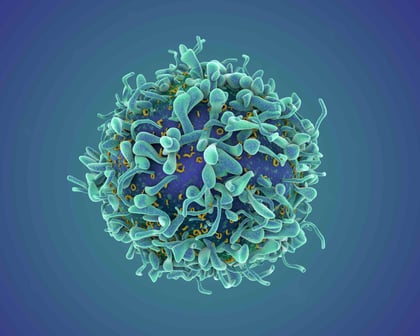 T cell blue-1