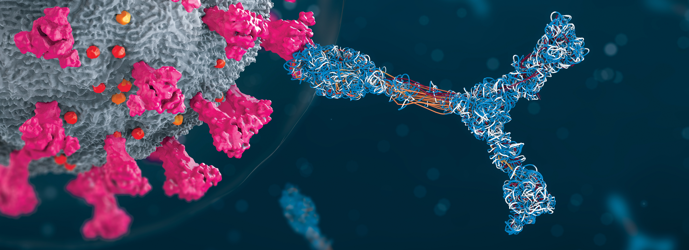 Functional Assays: Narrowing the Field from Binders to Therapeutic Candidates