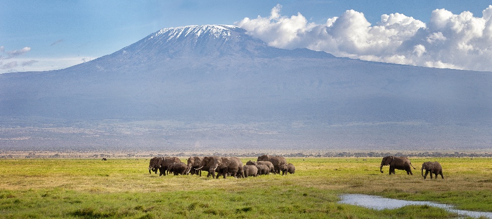 Mount Kilimanjaro - a climb in support of Fred Hutch