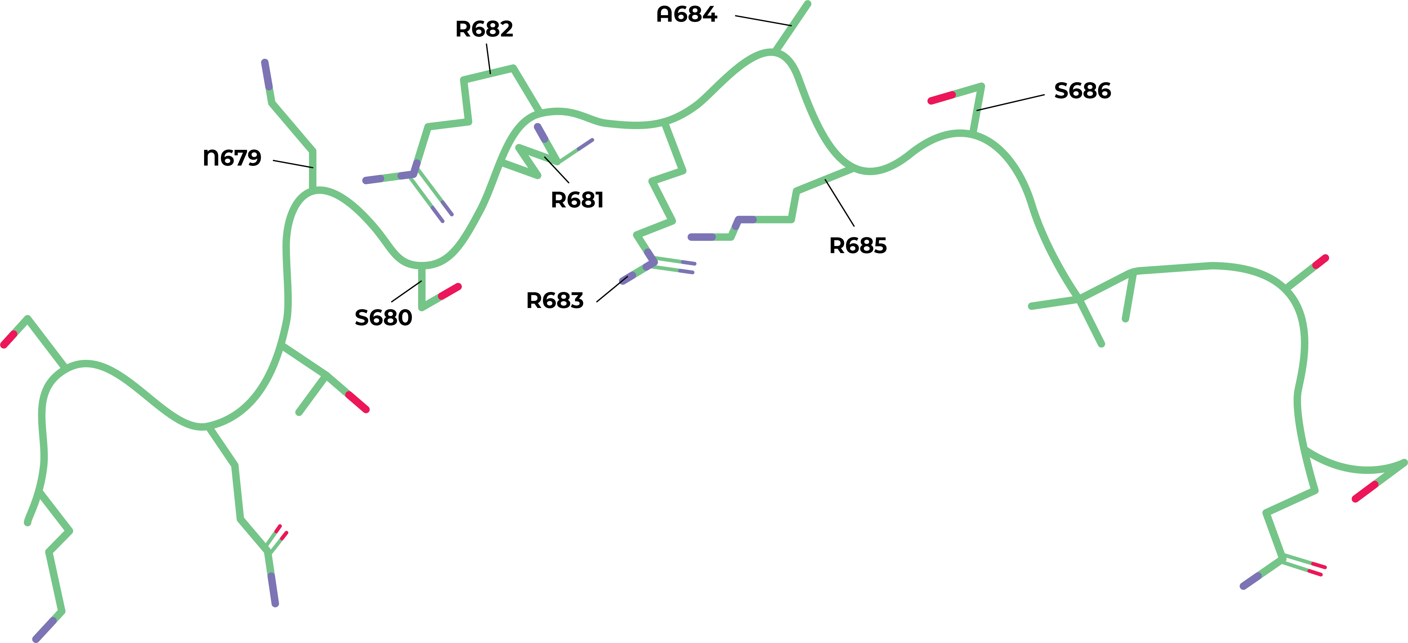 3D molecular modeling image