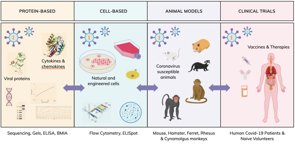 System_Methods_Study_Covid-19_Diseases_diag